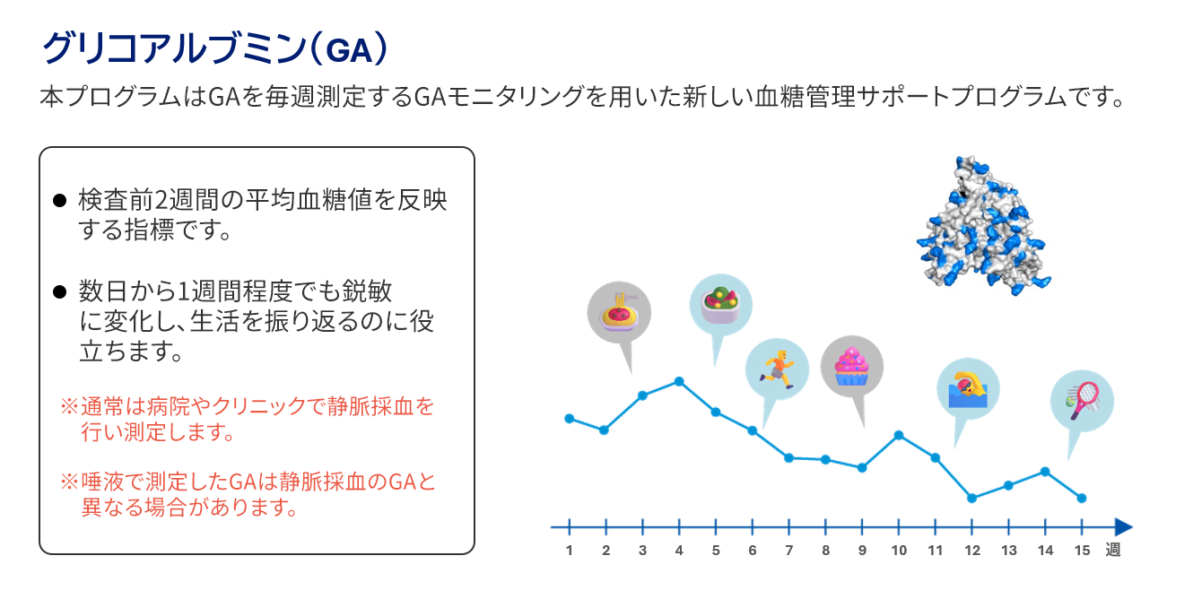 グリコアルブミンについて説明した図