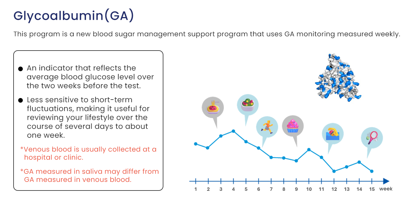 Illustration explaining glycated albumin